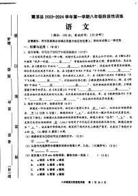 福建省宁德市霞浦县2023-2024学年八年级上学期11月期中语文试题