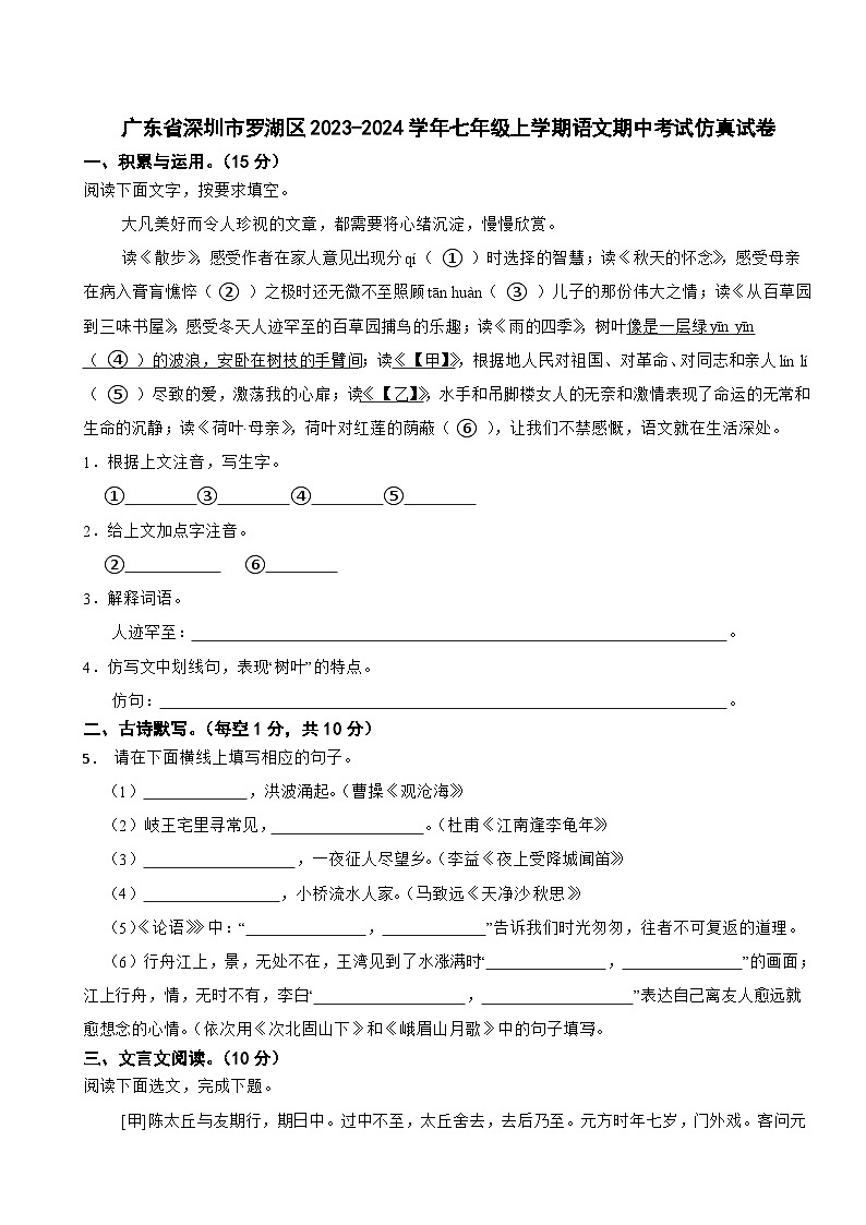 广东省深圳市罗湖区2023-2024学年七年级上学期语文期中考试仿真试卷01