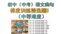 初中（中考）语文病句梯度训练精选题5（中等难度）课件PPT