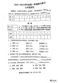 天津市宝坻区第八中学2023-2024学年七年级上学期11月期中语文试题