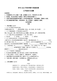 湖北省荆州市沙市区2023-2024学年九年级上学期期中语文试题