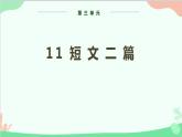 统编版语文八年级上册 第三单元 11 短文二篇课件