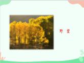 统编版语文八年级上册 第三单元 13 唐诗五首课件
