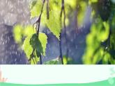 统编版语文七年级上册 3 雨的四季课件