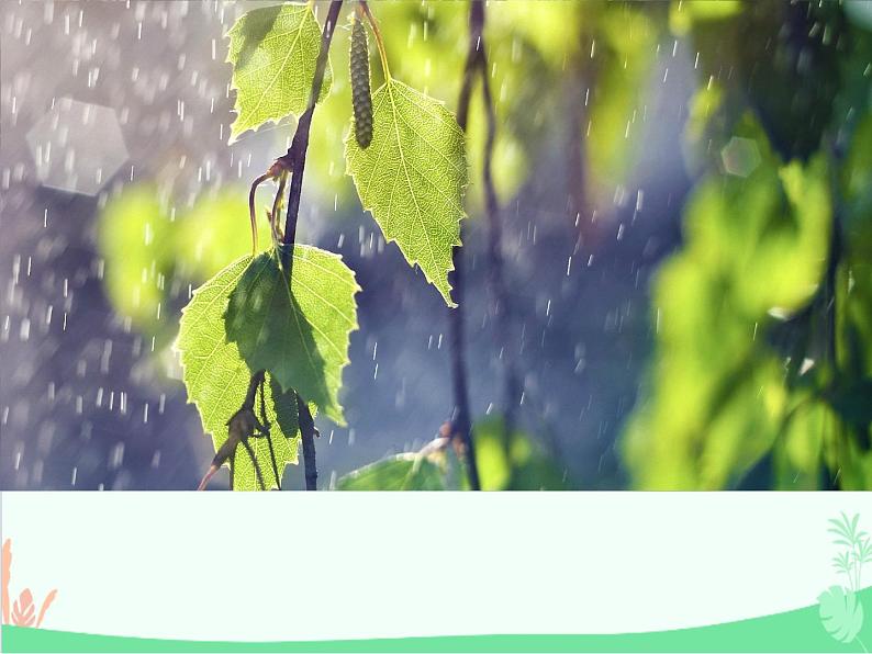 统编版语文七年级上册 3 雨的四季课件第1页