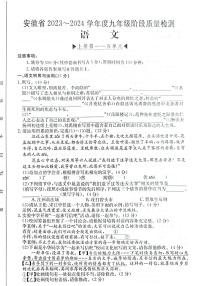 安徽省阜阳市太和县2023-2024学年九年级上学期11月期中考试语文试题