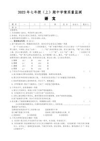 湖南省邵阳市新邵县迎光乡中学2023-2024学年七年级上学期期中语文试题