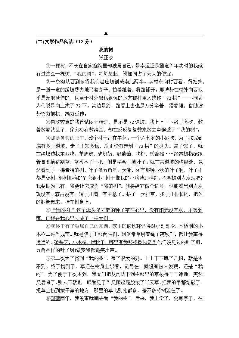 浙江省绍兴市新昌县拔茅中学等校联考2023-2024学年七年级上学期期中语文试题03