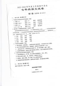 湖北省武汉市东西湖区2023-2024学年七年级上学期期中考试语文试题