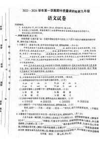 河南省洛阳市伊川县2023-2024学年八年级上学期11月期中语文试题