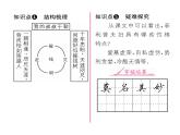 人教版九年级语文上第4单元小说之窗16我的叔叔于勒 课时训练ppt