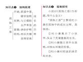 人教版九年级语文上第4单元小说之窗17孤独之旅 课时训练ppt