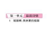 人教版九年级语文下第1单元品读诗情1祖国啊，我亲爱的祖国课时训练ppt
