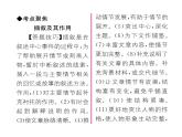 人教版九年级语文下第2单元社会百态5孔乙己课时训练ppt