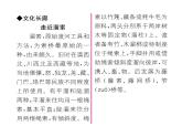 人教版九年级语文下第2单元社会百态7溜索课时训练ppt