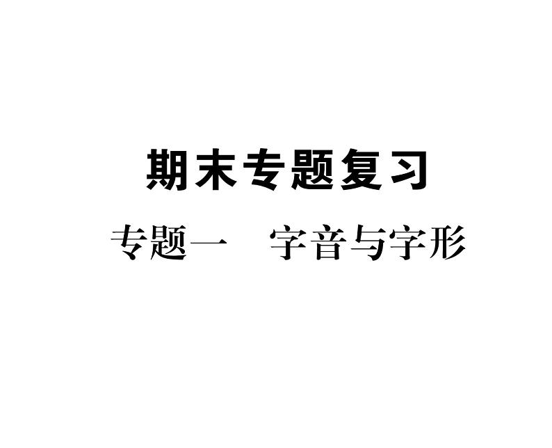 人教版九年级语文下期末专题复习专题1字音与字形课时训练ppt01