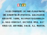 16 猫 教案+课件