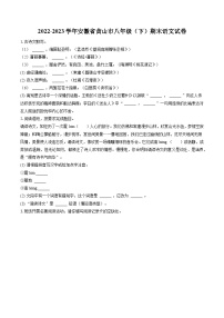 2022-2023学年安徽省黄山市八年级（下）期末语文试卷(含答案解析)