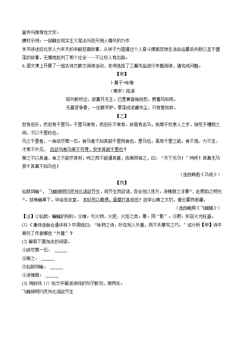 2022-2023学年江苏省连云港市灌云县八年级（下）期末语文试卷(含答案解析)第3页