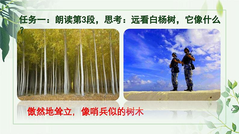 人教版八年级上册《白杨礼赞》课件第4页