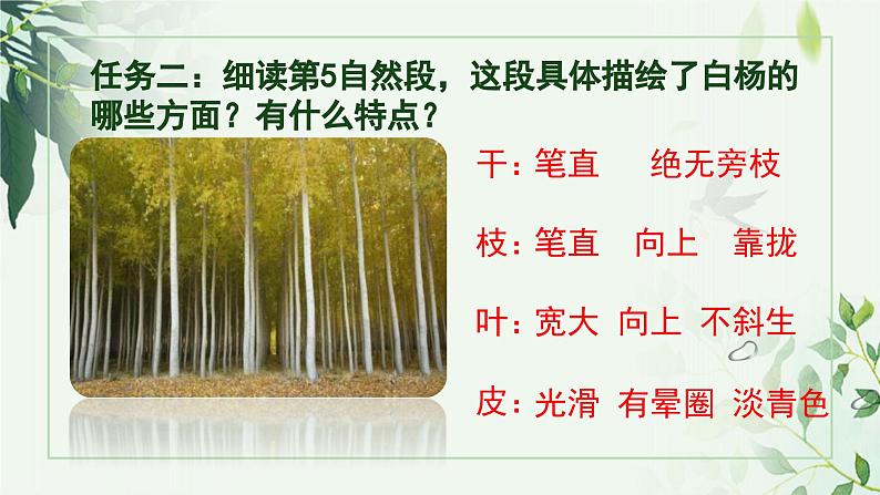 人教版八年级上册《白杨礼赞》课件第5页
