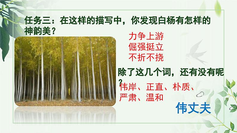 人教版八年级上册《白杨礼赞》课件第6页