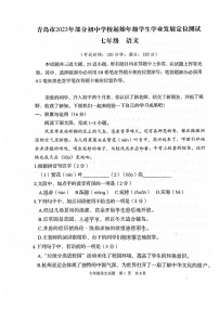山东省青岛市2023-2024学年七年级上学期11月期中语文试题