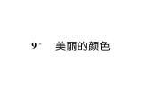 人教版八年级语文上第2单元人物画廊9美丽的颜色课时训练ppt