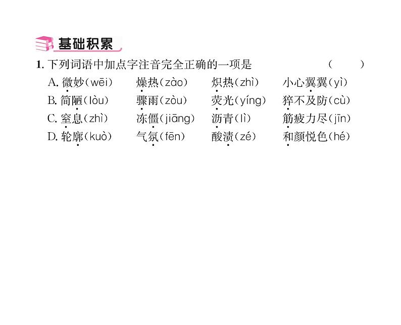 人教版八年级语文上第2单元人物画廊9美丽的颜色课时训练ppt第4页