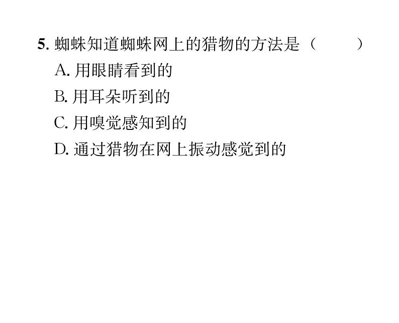 人教版八年级语文上第5单元科学艺术《昆虫记》综合训练（2）课时训练ppt第5页