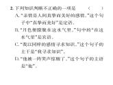 人教版八年级语文上期末专题复习专题5汉语知识课时训练ppt