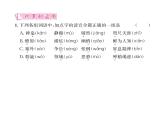 人教版八年级语文下第1单元民俗风情4灯笼课时训练ppt