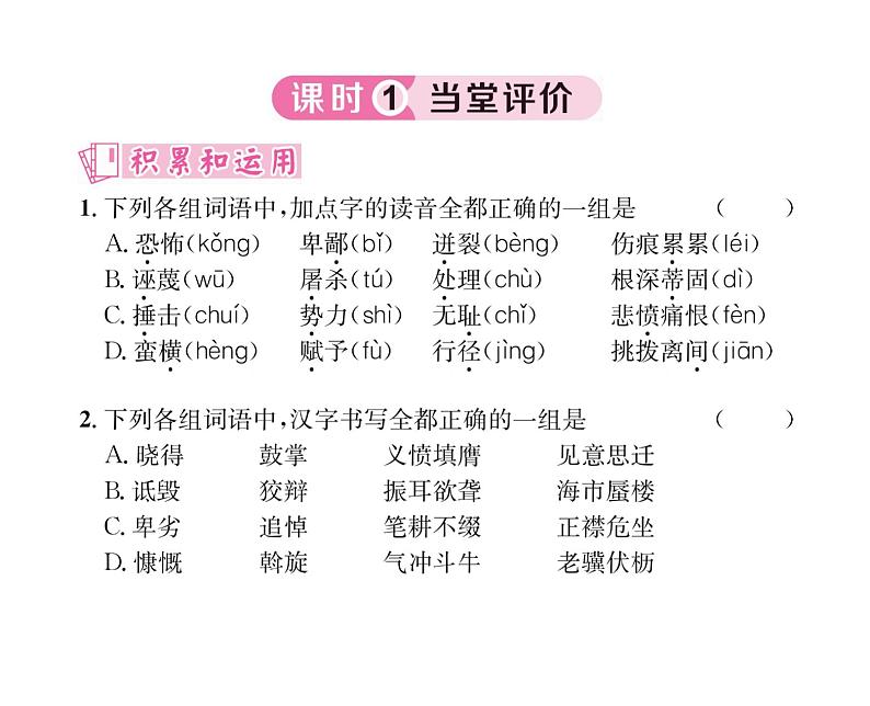 人教版八年级语文下第4单元魅力演说13最后一次讲演课时训练ppt第5页