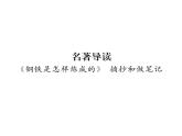 人教版八年级语文下第6单元论事说理名著导读 《钢铁是怎样炼成的》 摘抄和做笔记课时训练ppt
