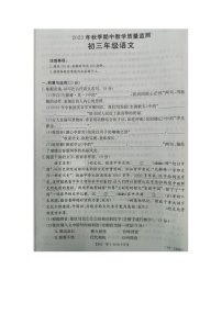福建省泉州市晋江市安海片区2023-2024学年九年级上学期期中联考语文试题