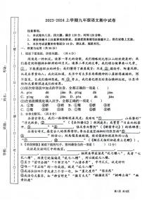 河南省周口市第十九初级中学2023-2024学年九年级上学期11月期中语文试题