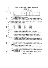河南省驻马店市确山县2023-2024学年七年级上学期11月期中语文试题