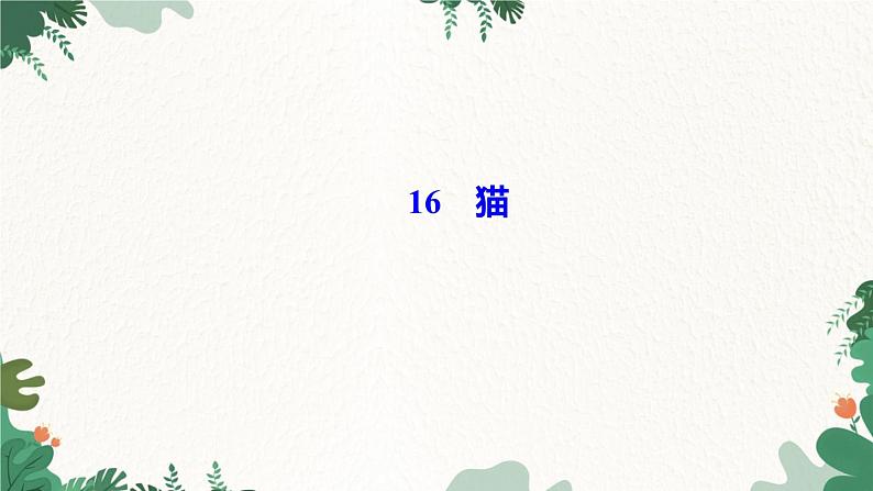 16　猫第1页