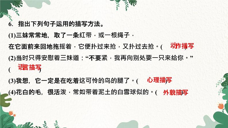16　猫第8页