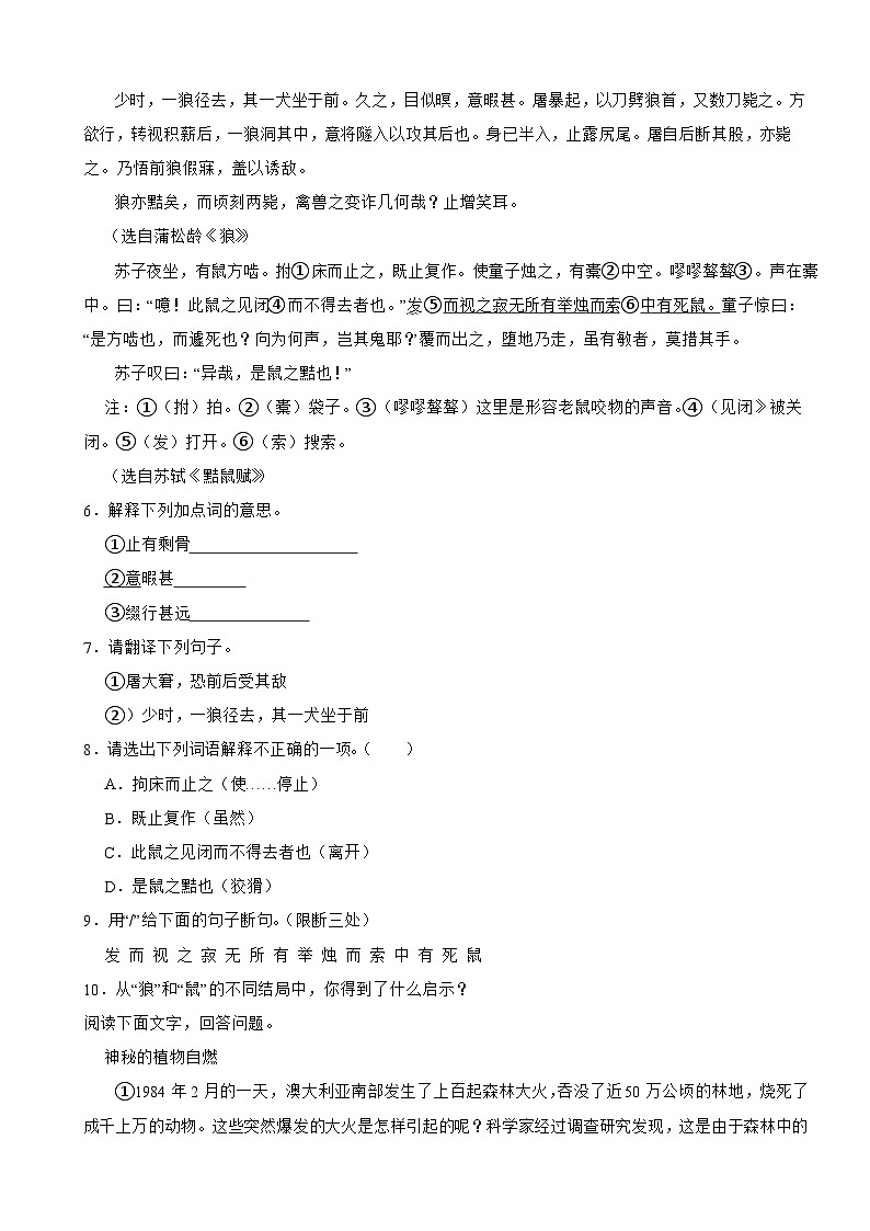广东省雷州市2023年七年级上学期语文期末试卷(附答案)03