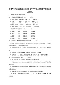 新疆喀什地区巴楚县2023-2024学年九年级上学期期中考试语文试卷