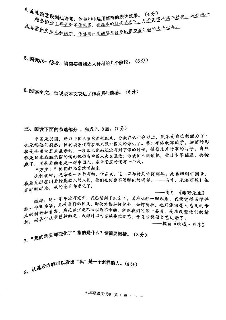 湖北省武汉市洪山区2023-2024学年七年级上学期期中语文试题第3页