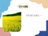 统编版语文八年级上册 第三单元 写作 学习描写景物课件