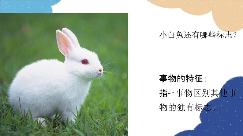 统编版语文八年级上册 第五单元 写作（说明事物要抓住特征）课件05