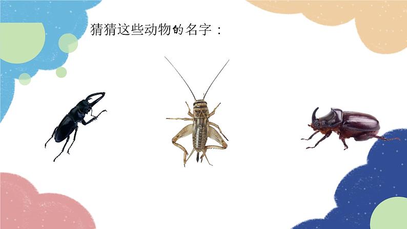 统编版语文八年级上册 第五单元 名著导读 《昆虫记》课件06