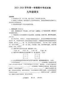 河南省濮阳市2023-2024学年九年级上学期11月期中语文试题