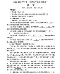 福建省三明市尤溪县2023-2024学年九年级上学期11月期中语文试题