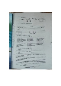 河北省沧州市肃宁县2023-2024学年上学期七年级期中考试语文试题