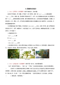 2022-2023学年七年级语文上学期期中专题复习（江苏专用）  （原卷版+解析）