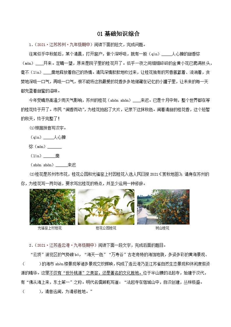2022-2023学年七年级语文上学期期中专题复习（江苏专用）  （原卷版+解析）第1页